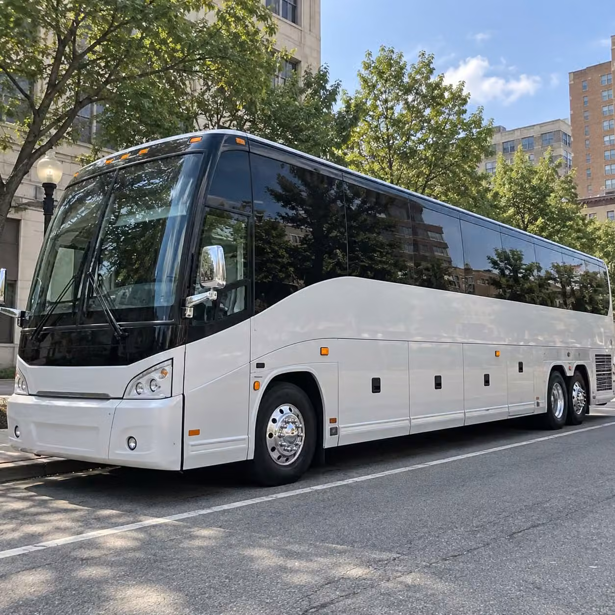 book new rochelle field trip transportation for multi stop itineraries and full day excursions